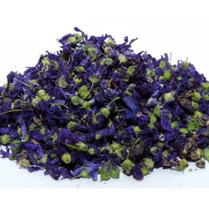 گل ختمی فله گلبافت