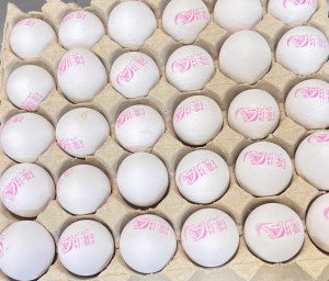 تخم مرغ سیمرغ فله شانه ای