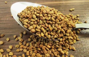 تخم شنبلیله فله