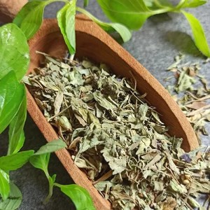 بهارریحان فله