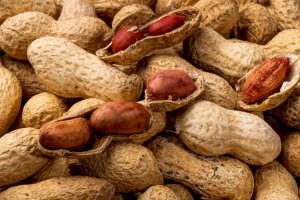 بادام زمینی باپوست شورغلاف دارفله