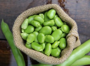 باقلاسبزمنجمدفله ب.آ