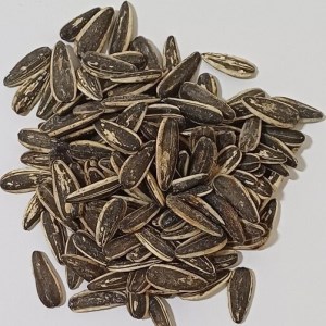 تخمه آفتابگردان لیمویی گلبرگ فله