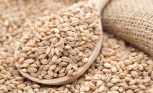 گندم پوست کنده سفیدفله(حلیم)