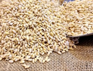 جوپوست کنده فله سفید