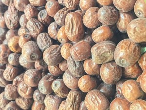 عناب درشت فله