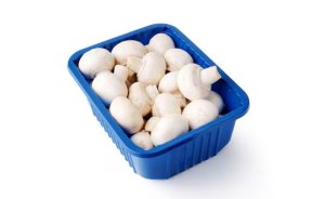 قارچ بسته1000