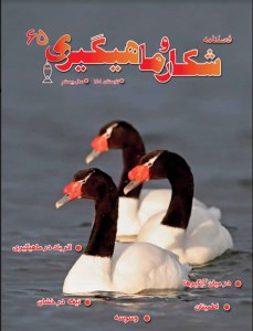 شکار و ماهیگیری (مجله)