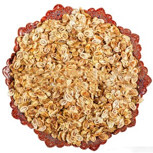 گلپرترشی فله