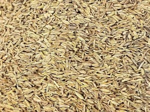 زیره سبزفله