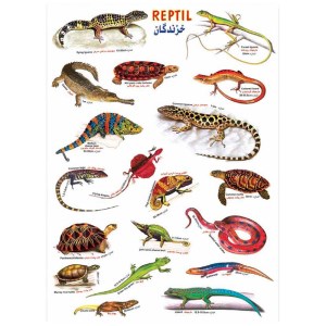 استیکرزبرچسب