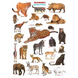 برچسب آموزشی