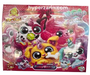 شانسی کیف ساکی