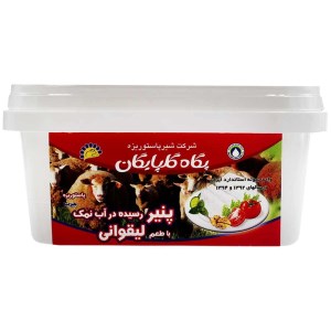 پنیرلیقوان پگاه200