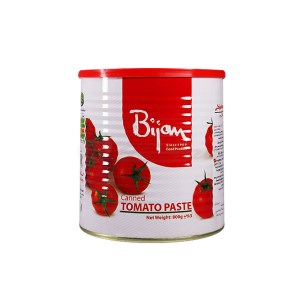 رب گوجه فرنگی بیژن800