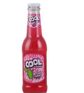 نوشیدنی سیب باطعم کاکتوس سن ایچ کول شیشه250