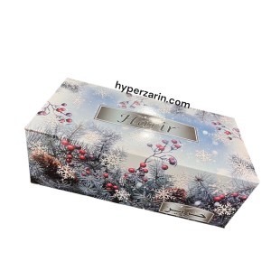دستمال کاغذی طرح زمستانه حریر300برگ