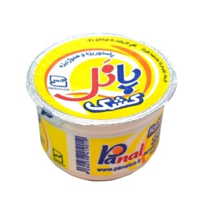 کشک پانل225
