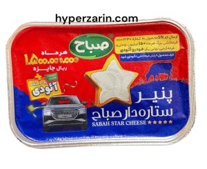 پنیرپروسس ستاره دارصباح 380