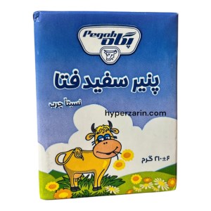 پنیرتتراپک پگاه210