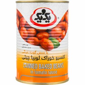 کنسرولوبیاچیتی باسس یک ویک290