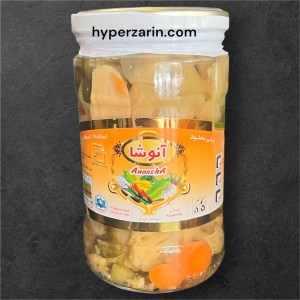 ترشی مخلوط شیشه آنوشا750
