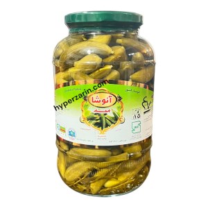 خیارشورویژه آنوشاشیشه1.5