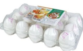 تخم مرغ بسته بندی ژابیژ دامداران15