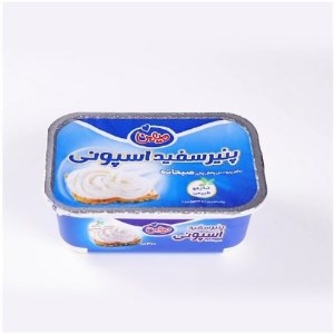 پنیرسفیداسپونی میهن200
